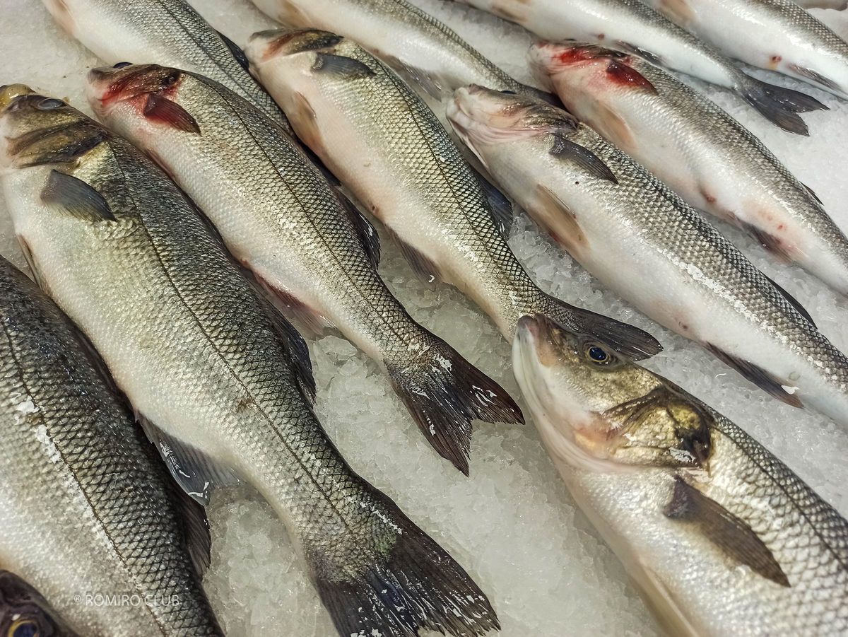 рыба с доставкой на дом Будва