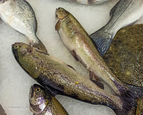 Рыба с доставкой на дом